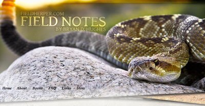 snakes native to arizona