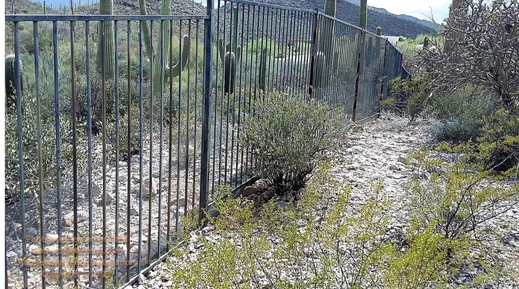 Snake Fence Installations Don't Wait Until a Snake Shows Up