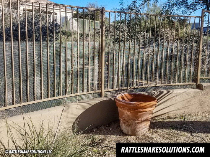 Why February is the best time to have a snake fence installed.