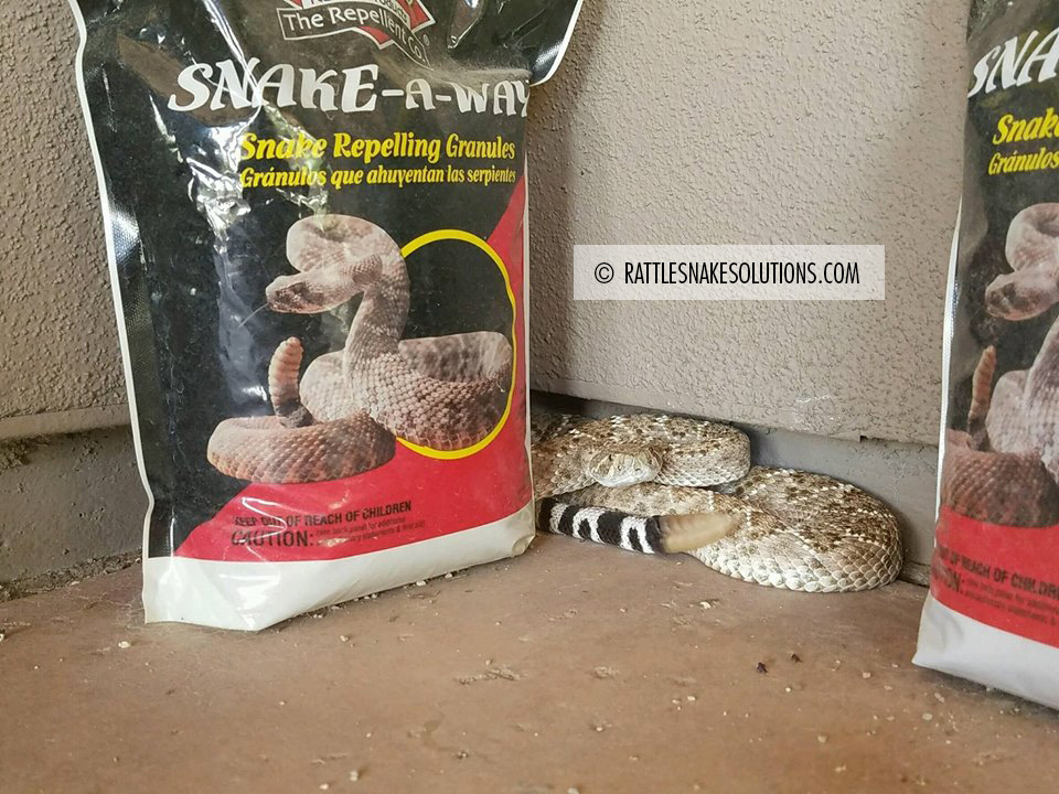 How to Deter Rattlesnakes?