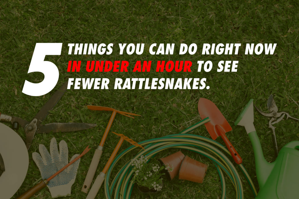 keep rattlesnakes away