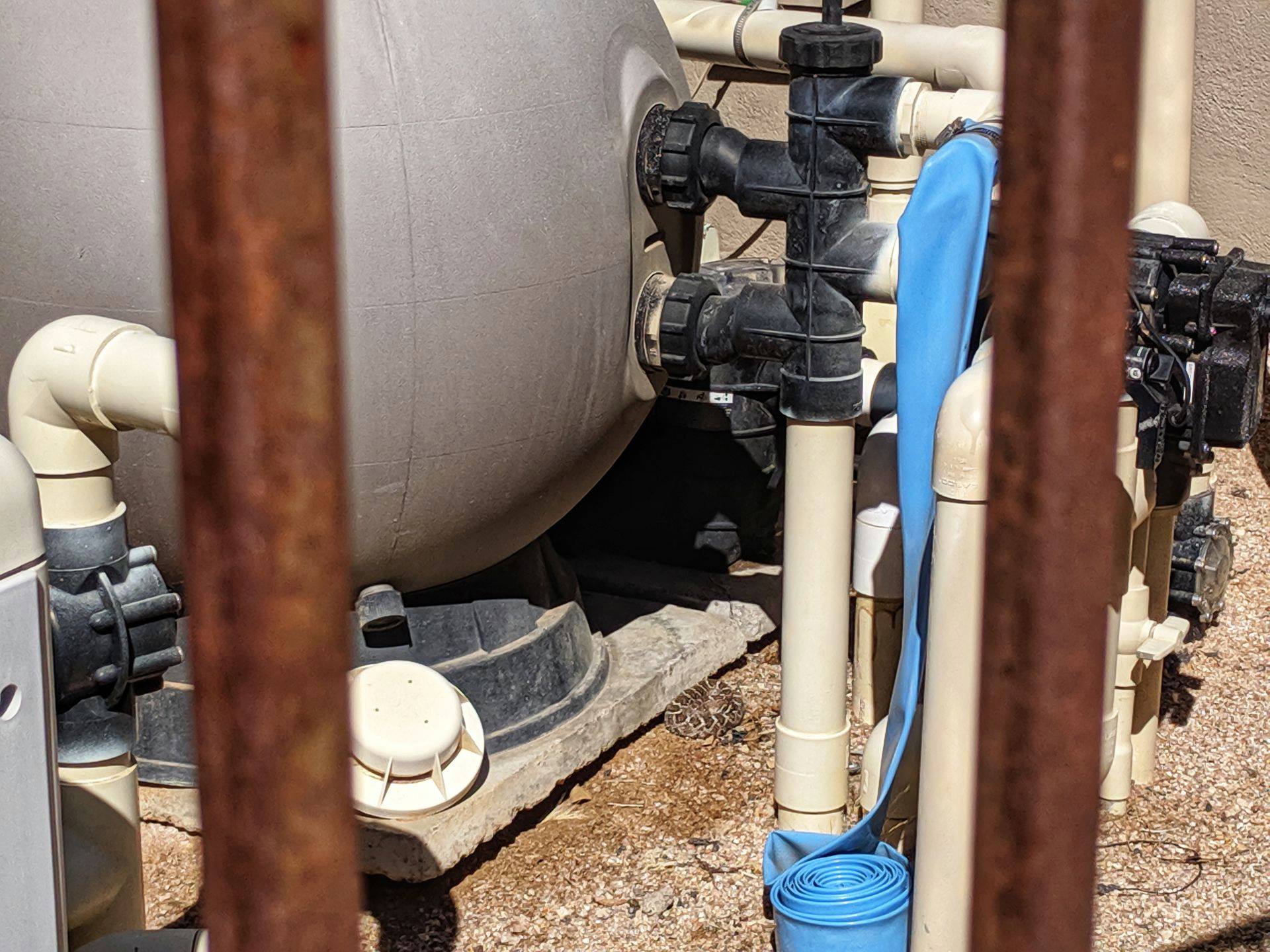 How to Keep Snakes Away from Your Home The Ultimate Guide