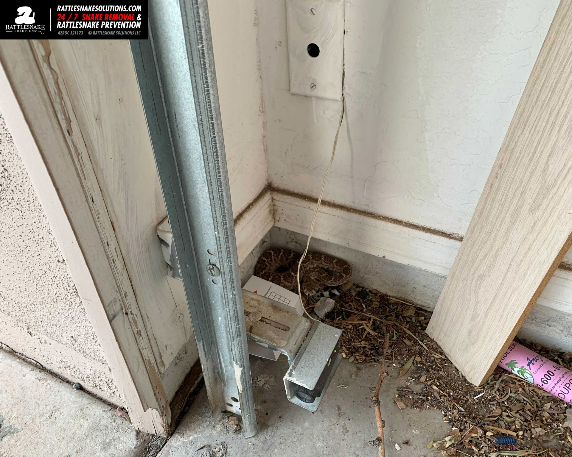 It's Rattlesnake in the Garage Season How you can prevent it now