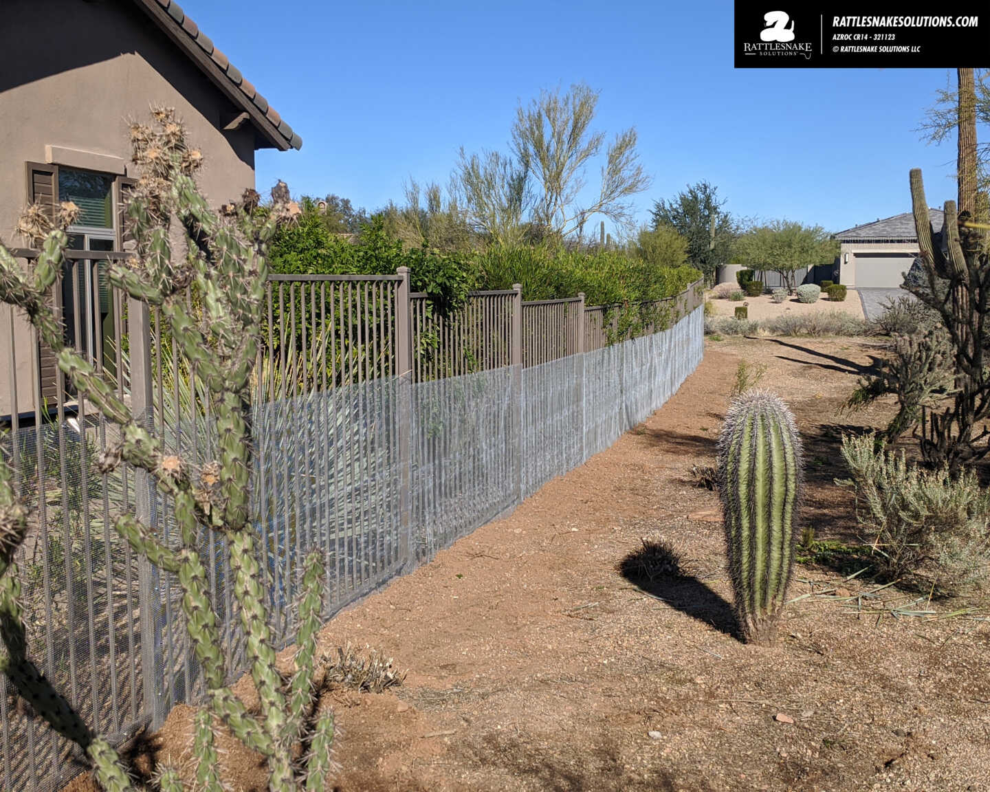 A closer look at Snake Proofing A Yard