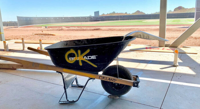 Snake Removals and Rattlesnake Fencing Updates – 04/01/21