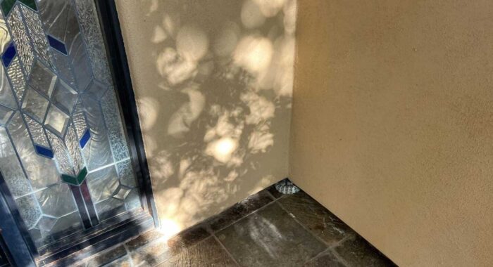 Blue Speckled Rattlesnake At The Door