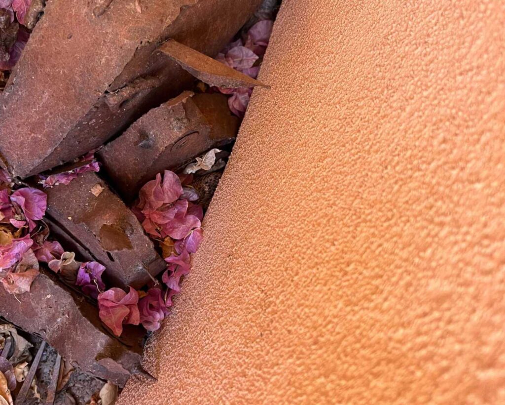 Well-Hidden Western Diamondback Rattlesnake