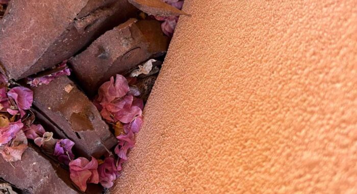 Well-Hidden Western Diamondback Rattlesnake