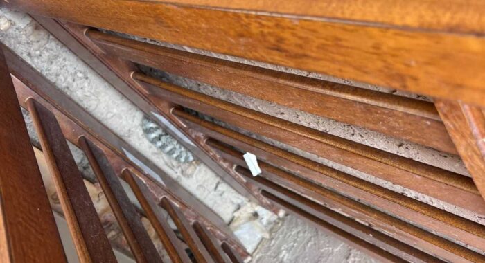 Tiger Rattlesnake in Ahwuatukee