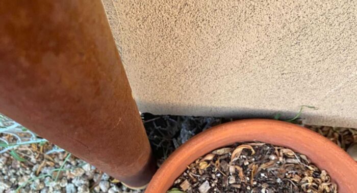 Western Diamondback Rattlesnake Hiding Behind A Pot