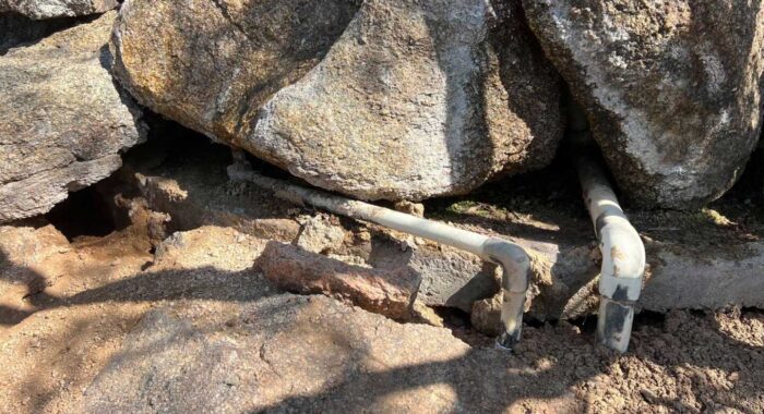 Rattlesnake Waiting To Happen Scenario