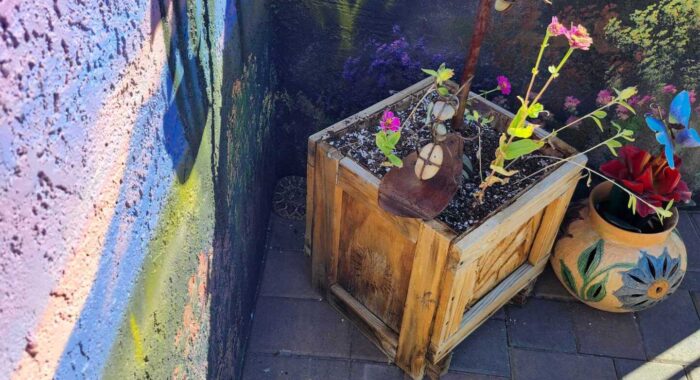 Western Diamondback Rattlesnake In Need of a Winter Home