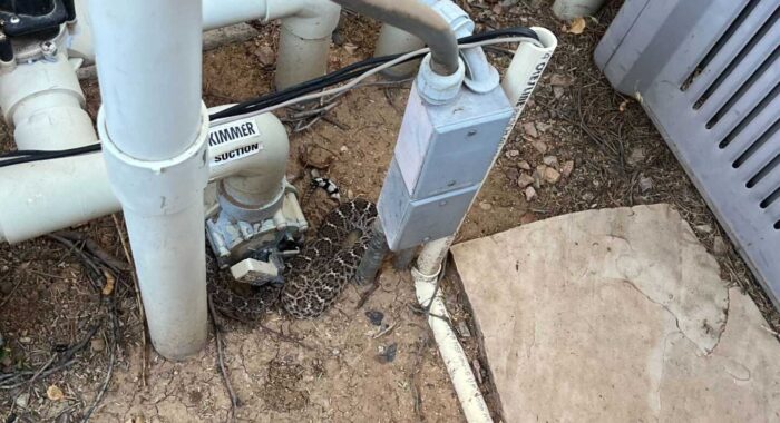 Rattlesnake In The Pool Equipment