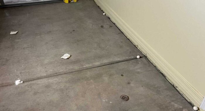 Snake Repellents Don’t Work At All