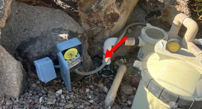 Recent Snake Relocations Near Phoenix