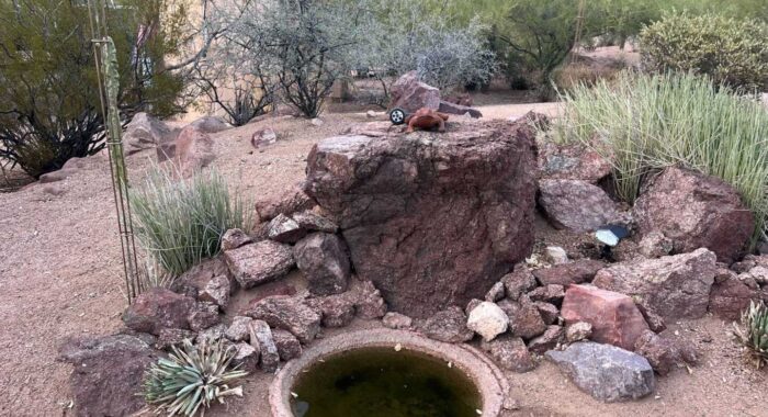 Attracting Birds is the Same As Attracting Rattlesnakes