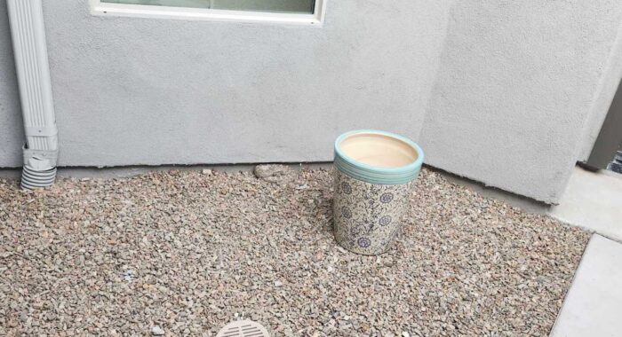 Finding Rattlesnakes At Home