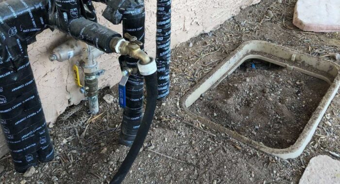 A Pair Of Hibernating Rattlesnakes