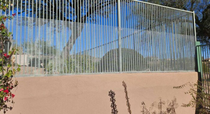 Snake Fence Installation With Color Matching