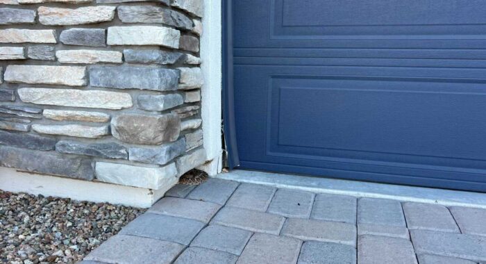 Rattlesnake Hibernating Relocations Are Complicated