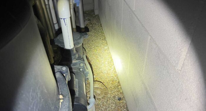 Hibernating Rattlesnake