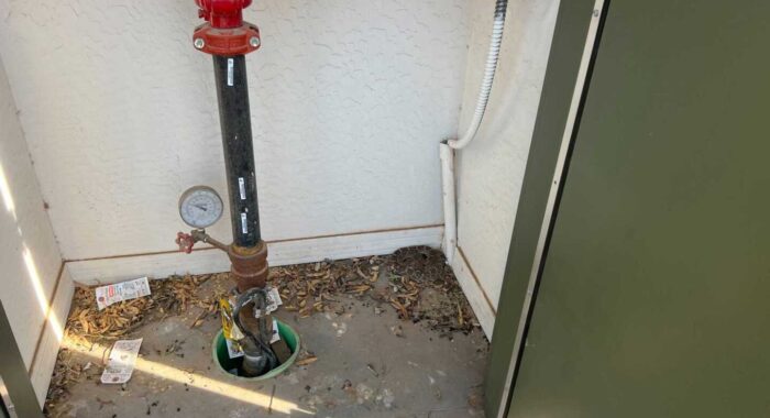 Rattlesnake Hibernating In A Closet