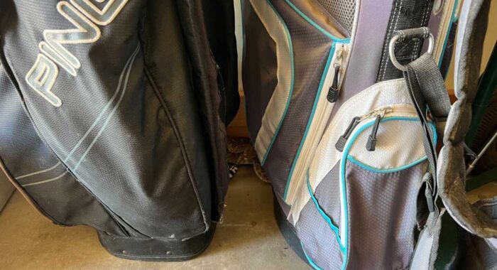 Rattlesnake Gets Into A Garage