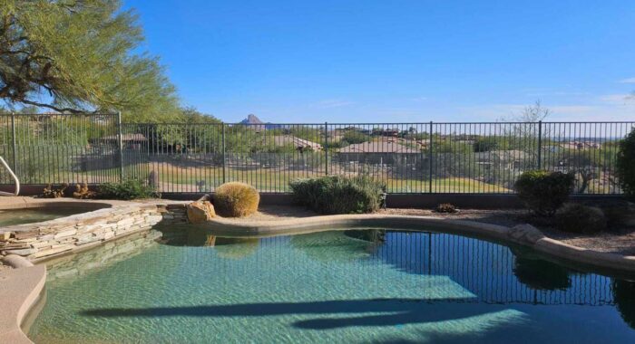 Snake Fenced Backyard With A Pool