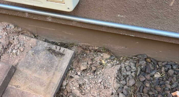 Rattlesnake That Had Bitten A Dog Located