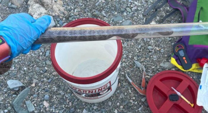 Snake Removal in Arizona – May 2025