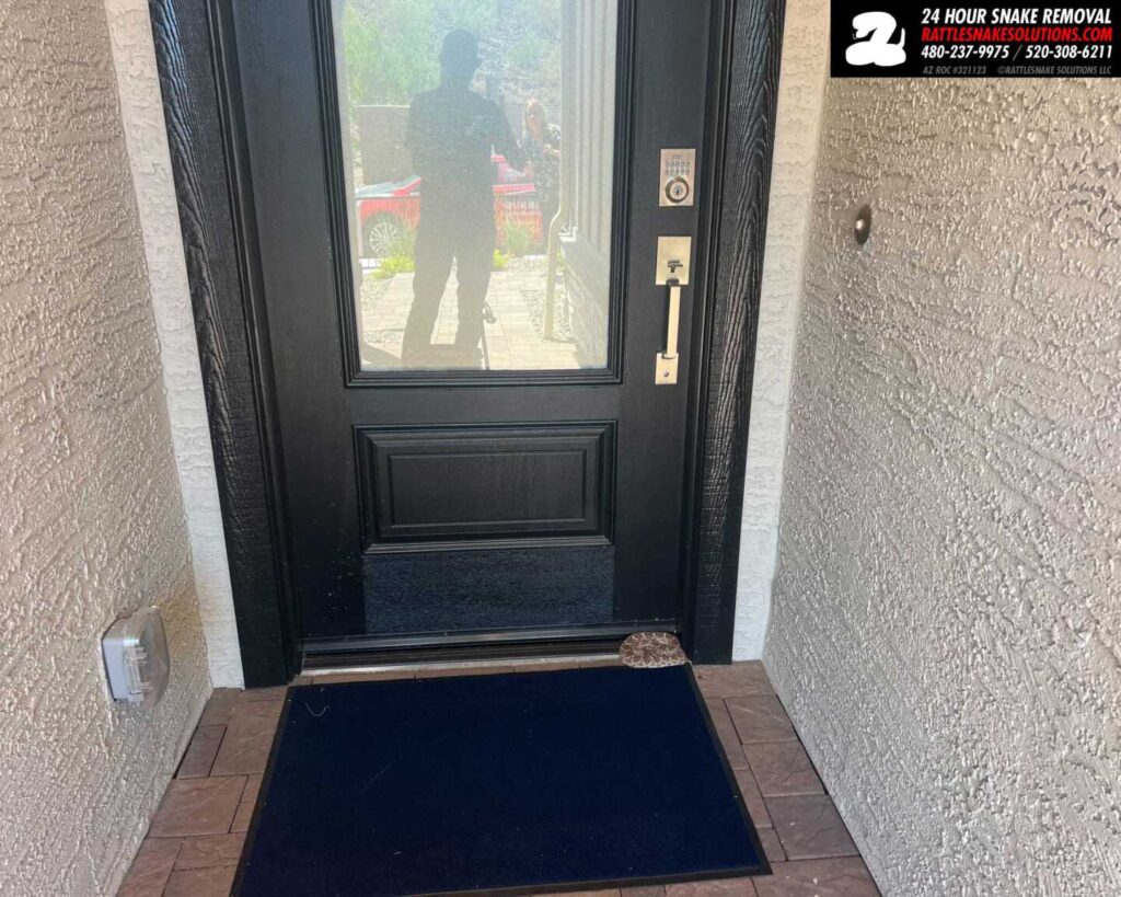 Rattlesnake At A Model Home
