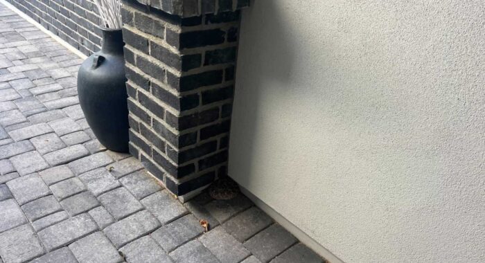 Western Diamondback Rattlesnake By Doorway