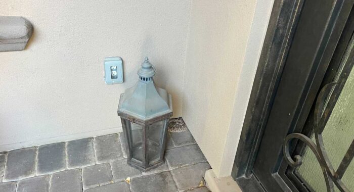 Rattlesnake By The Front Door