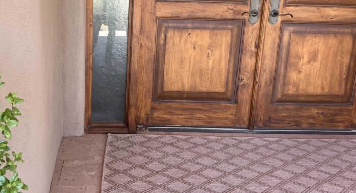 Rattlesnake By The Front Door