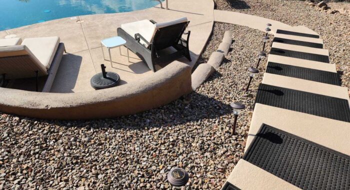 Rattlesnake At An AirBNB