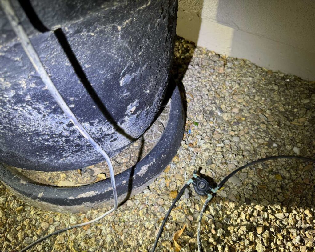 Double Snake Call At 2am in Scottsdale