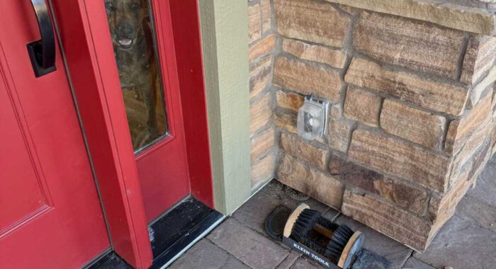 Mojave Rattlesnake Relocated Near Prescott Valley