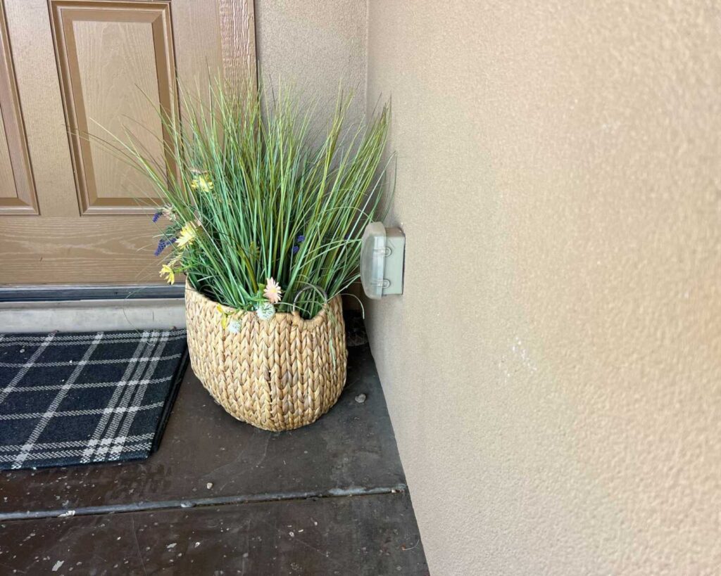 Rattlesnake By The Front Door