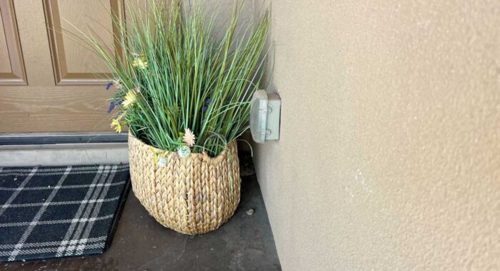 Rattlesnake By The Front Door Rattlesnake By The Front Door