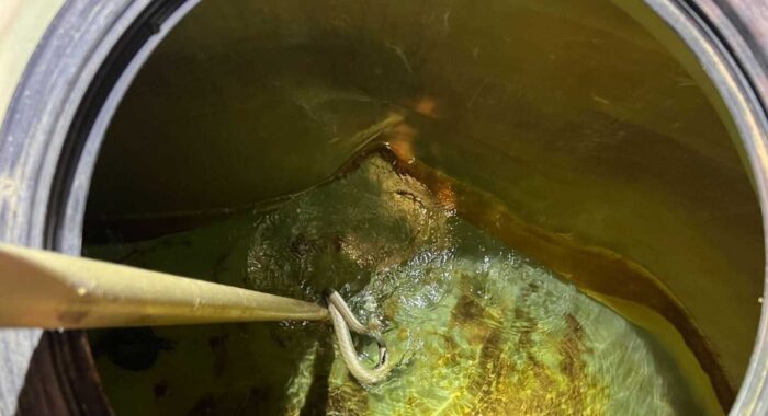 Gophersnake In A Well Gophersnake In A Well