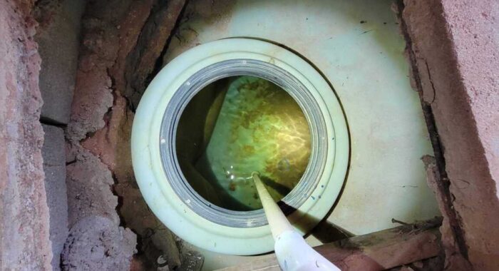 Snake in a Water Well