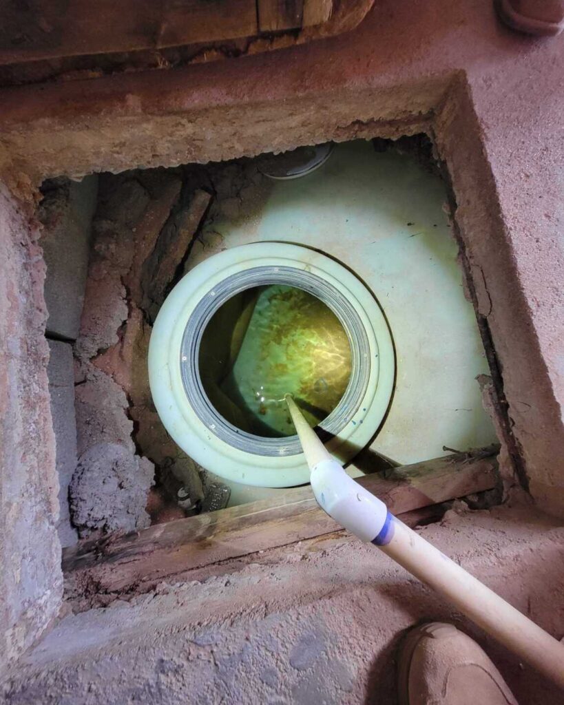 Snake in a Water Well