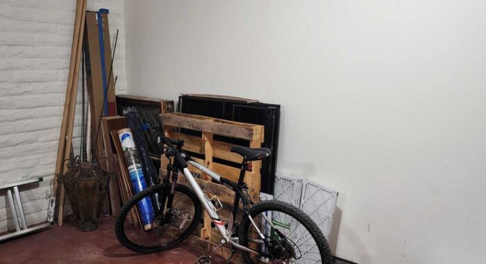 Rattlesnake In The Garage