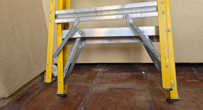 Two Rattlesnakes In Back to Back Calls