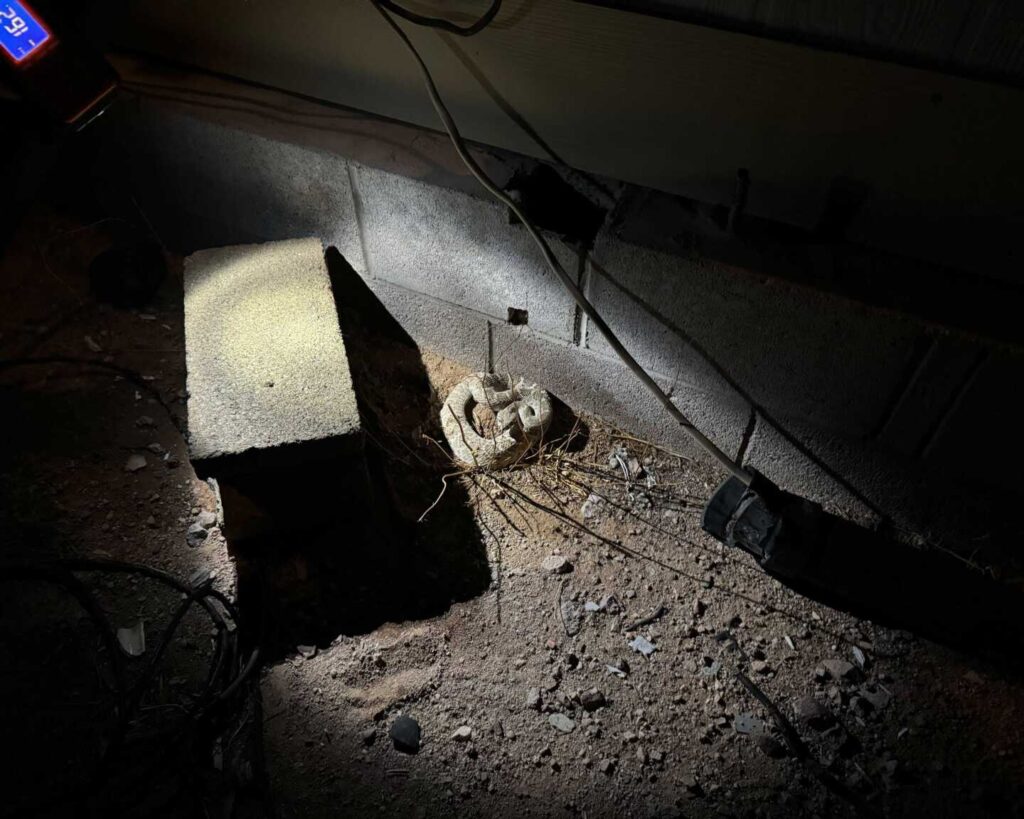 Western Diamondback Rattlesnake in Tonopah