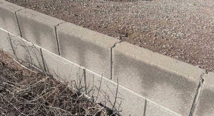 Rattlesnake At A Community Park