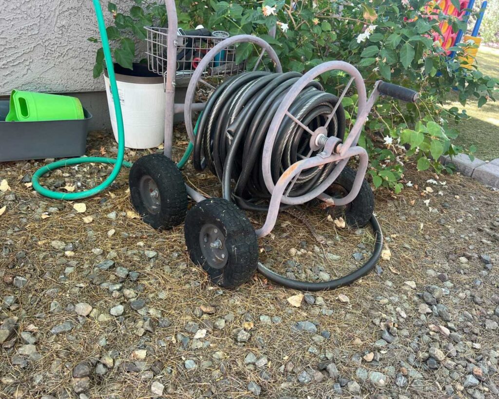 Rattlesnake Shed Skins Found In Yard