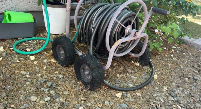 Rattlesnake Shed Skins Found In Yard