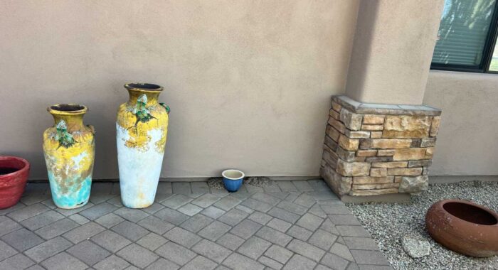 Pair of Courting Rattlesnakes in the Courtyard