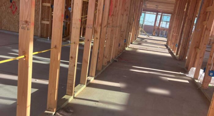 Rattlesnake At New Home Under Construction